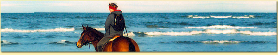 Barbara Pietrusky - Verhaltenspsychologie fr Hunde