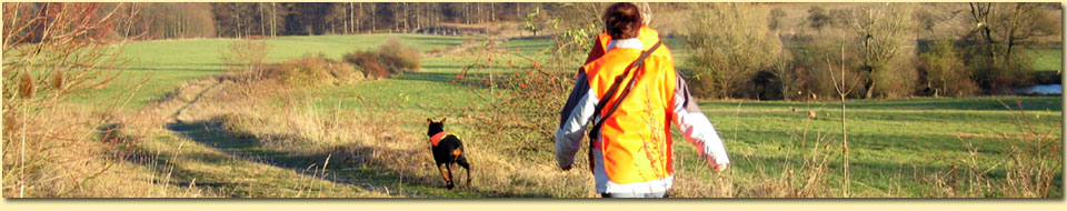 Barbara Pietrusky - Verhaltenspsychologie fr Hunde