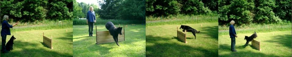 Barbara Pietrusky - Verhaltenspsychologie fr Hunde