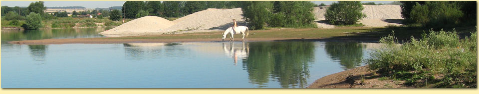 Barbara Pietrusky - Verhaltenspsychologie fr Hunde
