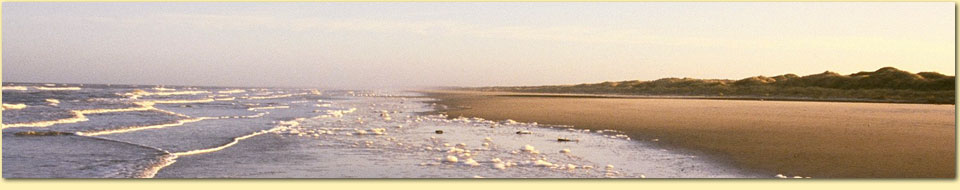 Barbara Pietrusky - Verhaltenspsychologie fr Hunde