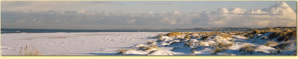 Barbara Pietrusky - Verhaltenspsychologie fr Hunde