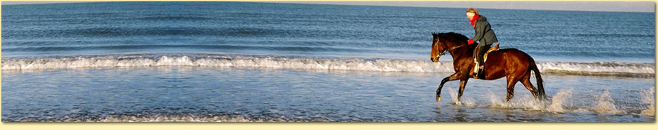 Barbara Pietrusky - Verhaltenspsychologie fr Hunde